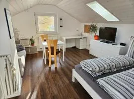 Ferienwohnung Haldenblick