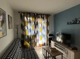 Appartement tout confort centre