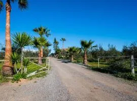 El Paraíso Del Olivar