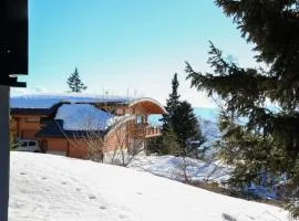Magnifique chalet au pied des pistes