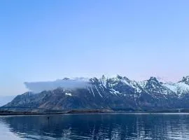 Lydersen Rorbuer Budget Hostel & Private Apartments