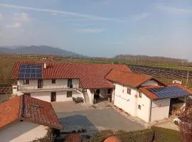 Al Campo del Nocciolo - Agriturismo