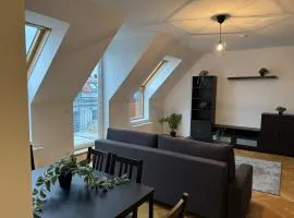 50qm, Schönbrunn, central, balcony, attic
