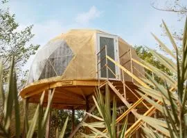 Le Lodge des Papillons - Dôme l'Élan