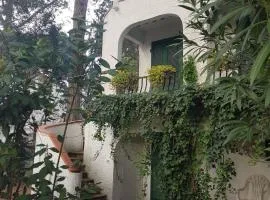 Villa Su 3 Piani Con Giardino
