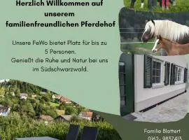 Fewo Schwarzwälder Blattert