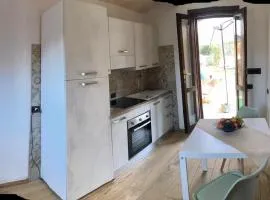 Domus Seu