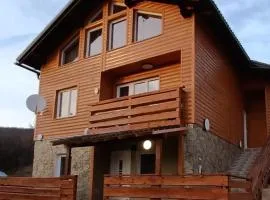 Villa Velebita House for 9 near Plitvice Lakes