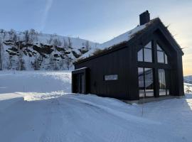 Fjellhytte i Sirdal - flott destinasjon hele året, Hotel in Dirdal