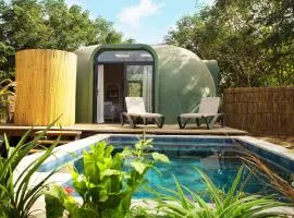 Lodge des Papillons - L'Oeuf Fécond