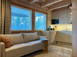 Ruka Snow & Sun 1 - Near Slopes, Sauna, AC, Wifi, Fireplace, Carport, Grill