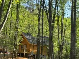 Just Opened! Luxury Cabin w Hot Tub