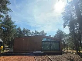 De Specht - Enjoyment in the forest