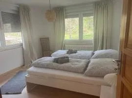 WALDnah TWO - Rückzugsort in Haiterbach