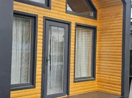 Arista Yurt Camp