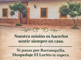 Hospedaje El Lorito
