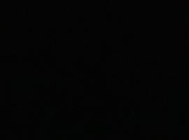 Hotel Braan Draculaa, hotel u gradu 'Bran'