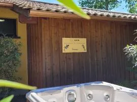 Salamandre et Hippocampe