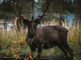 Reindeer Lodge, хотел в Юкасярви