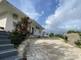 Damiano House