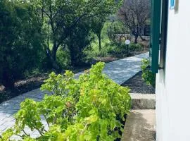 Lefkothea Apartments - Kontias, Lemnos