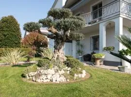 L'Ulivo bed and breackfast