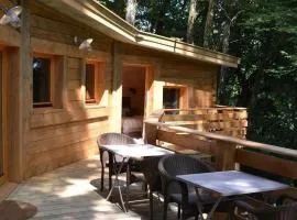 Chalet fonctionnel - 6 pers. - API-1-52-2271