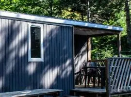 Mobil-home accueillant animaux - 4 pers. - API-1-52-2594