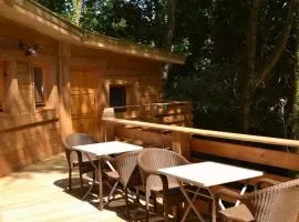 Chalet avec accès handicapé - 6 pers. - API-1-52-2607