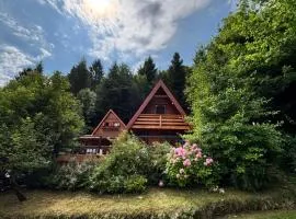 Twin Forest, riverside cabin