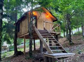 Forest Peak GuestHouse, hotel a Kukaj