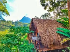 LaWayra Finca & Retreat