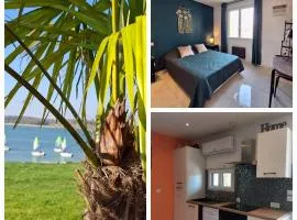 Marne Lac du Der charmant gite Sybelle au DER