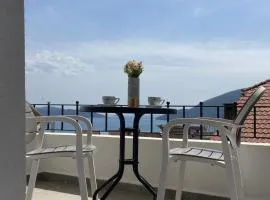 Bay Horizon View