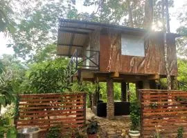 Cabaña en el arbol nitrollano