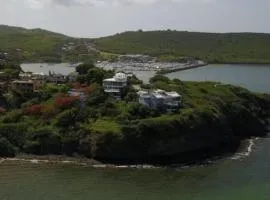 Tropical to go! Apt 1