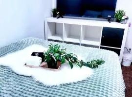 Cozy Room 1 Private Entry Near UofC SAIT Airport