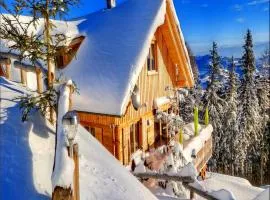 Chalet in Bad Leonhard near Klippitztörl Slopes