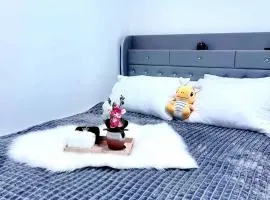 Cozy Room 3 Private Entry Near UofC SAIT Airport