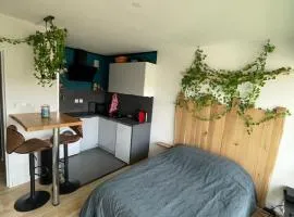 Au Cosy Studio I proche Europapark