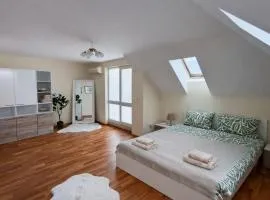 River Park Oasis apartment