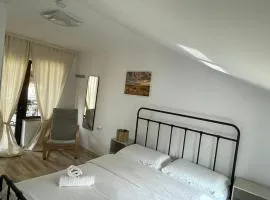Casa Haralambie