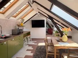 Gardoš Attic Loft with Terrace