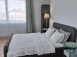 Spacious Modern Studio Balotești near Therme and Airport Free Private Parking, Balcony, Netflix