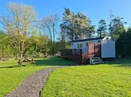 Woodpecker Shepherds Hut