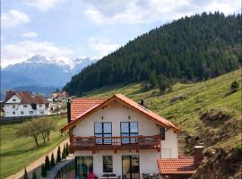 Casa de Sub Munte Cozy Chalet, hotel a Fundata