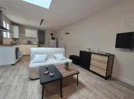 Appartement 71 Cœur de Cusset