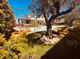 Une Bastide en Provence Alpilles house