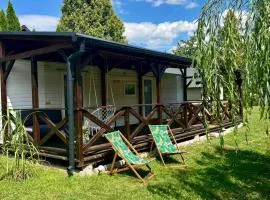 Domek z widokiem na las