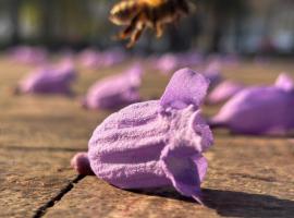 मैक्सिको सिटी में, होटल Fiesta Americana Reforma